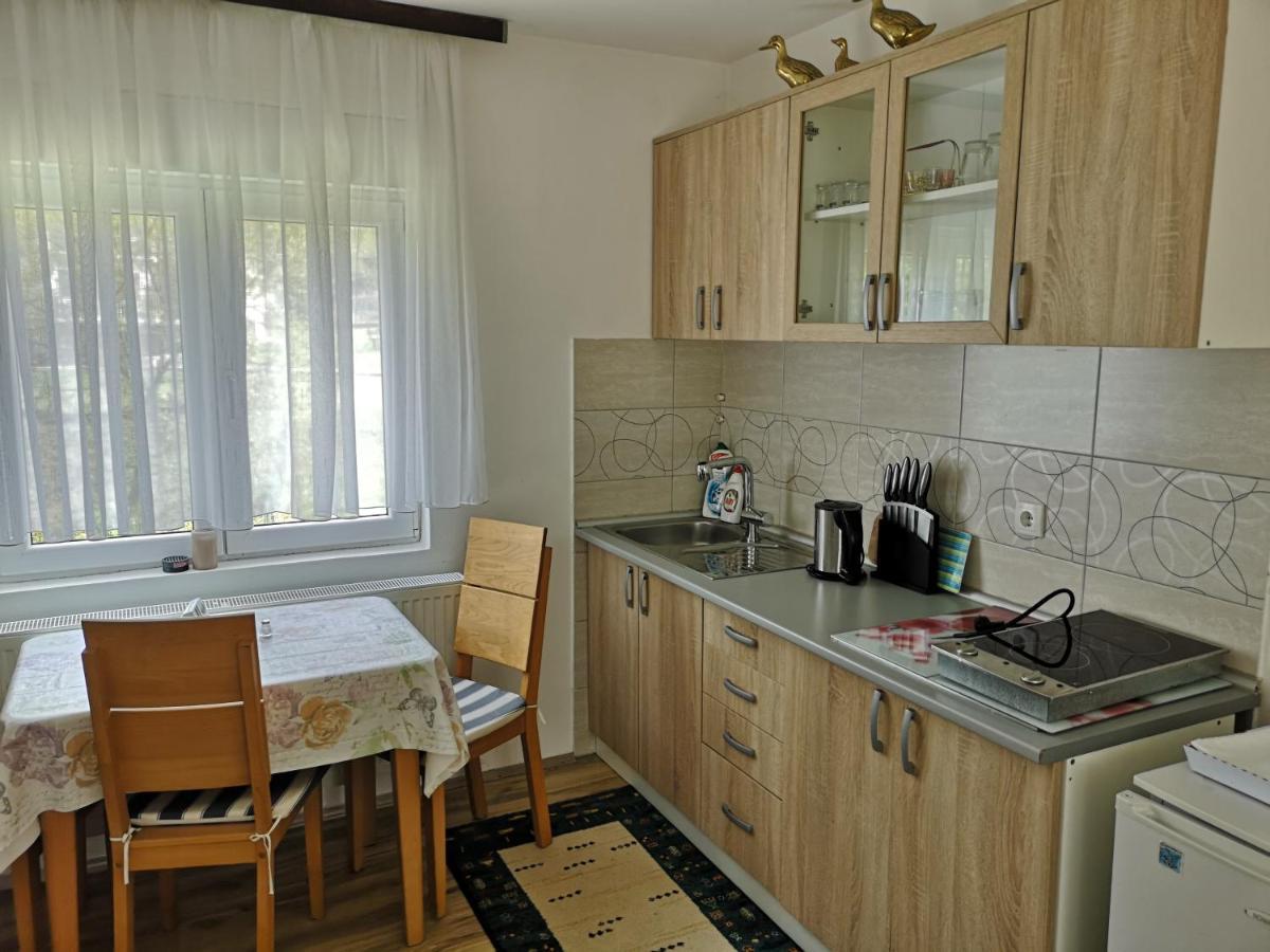 Apartmani Zubor Banja Koviljaca Ngoại thất bức ảnh
